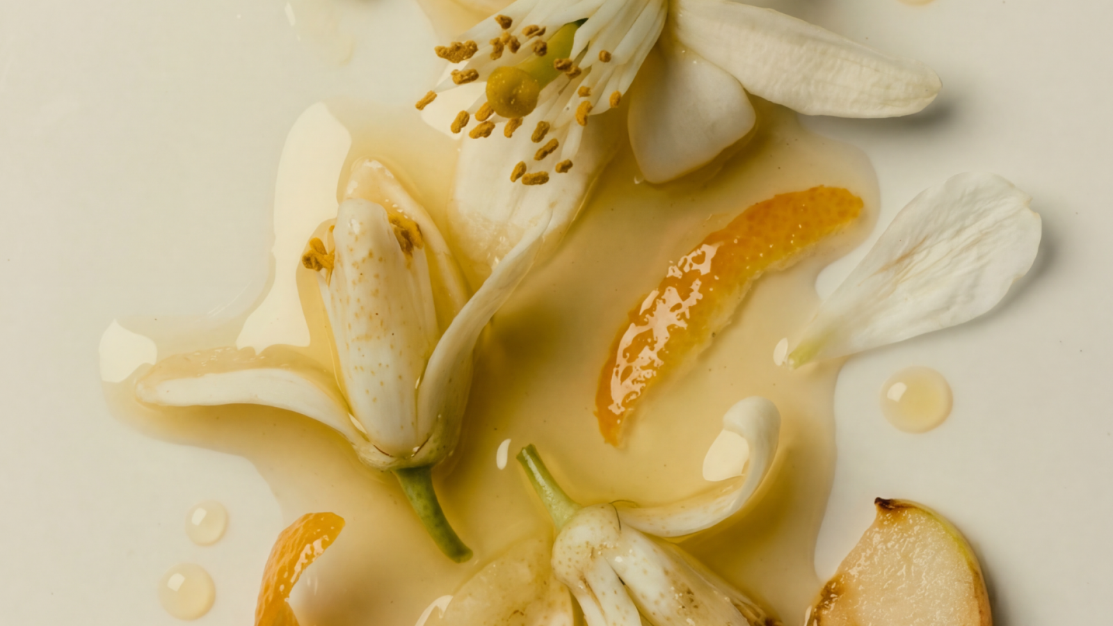 BCEDPA__Product Thumbnail Hover-2